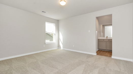 Houston 2-story, 4-bed 14539 Tundra Swan Drive-idx