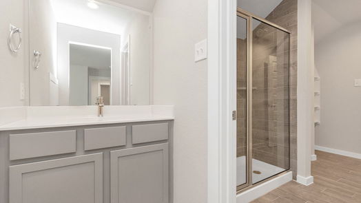 Houston 2-story, 4-bed 14539 Tundra Swan Drive-idx