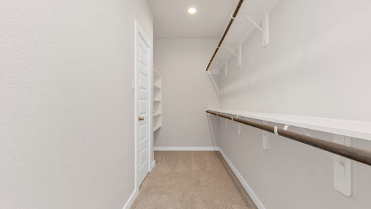Houston 2-story, 4-bed 14539 Tundra Swan Drive-idx