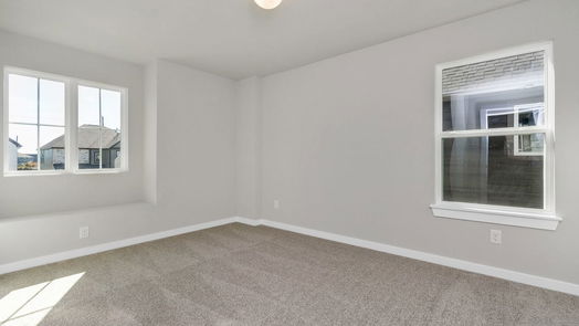 Houston 2-story, 4-bed 14539 Tundra Swan Drive-idx