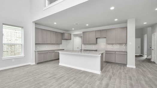 Houston 2-story, 4-bed 1022 Cold Snow Drive-idx
