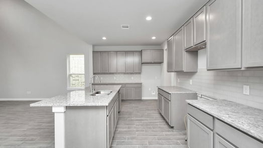 Houston 2-story, 4-bed 1022 Cold Snow Drive-idx