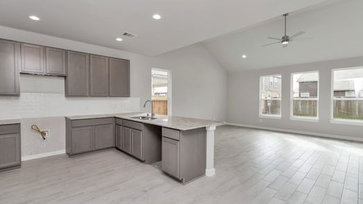 Houston 2-story, 4-bed 14822 Olive Sparrow Lane-idx