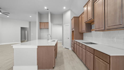 Rosenberg 1-story, 4-bed 4711 Whisperwood Drive-idx