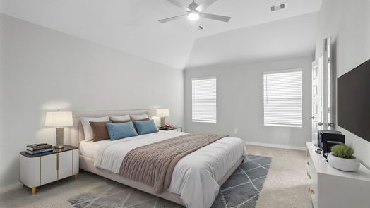 Rosenberg 2-story, 3-bed 2643 Village Side Trail-idx
