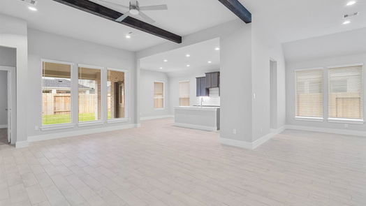Rosenberg 1-story, 4-bed 4707 Whisperwood Drive-idx