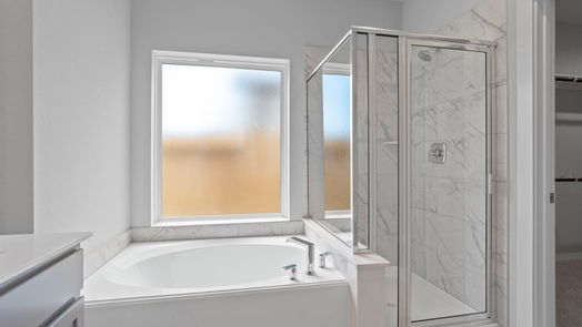 Spring 2-story, 5-bed 2153 Reed Cave Lane-idx