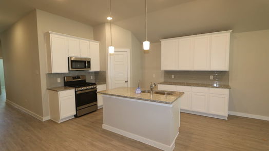 Alvin 1-story, 4-bed 1198 Filly Creek Drive-idx