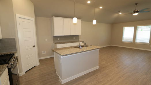 Alvin 1-story, 4-bed 1198 Filly Creek Drive-idx