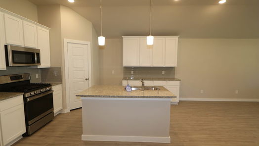 Alvin 1-story, 4-bed 1198 Filly Creek Drive-idx