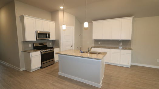 Alvin 1-story, 4-bed 1198 Filly Creek Drive-idx
