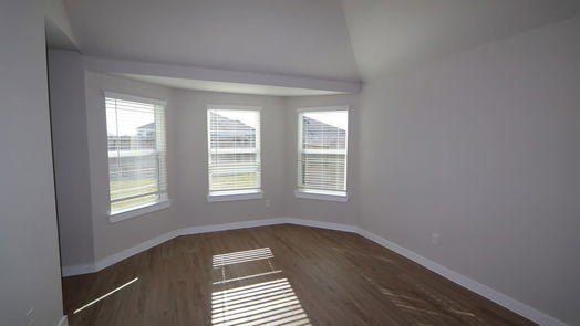 Alvin 1-story, 4-bed 1209 Filly Creek Drive-idx