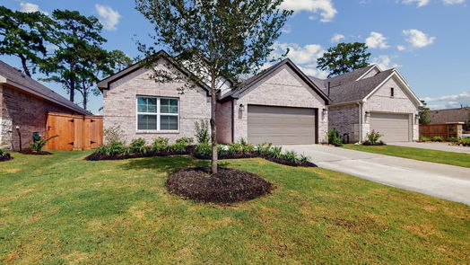 Alvin 1-story, 4-bed 1184 Filly Creek Drive-idx