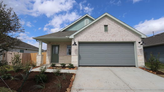 Alvin 1-story, 4-bed 1208 Colt Canyon Drive-idx