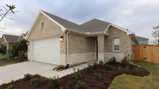 Alvin 1-story, 3-bed 1204 Colt Canyon Drive-idx