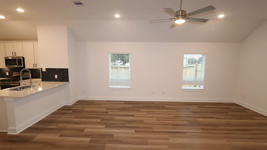 Alvin 1-story, 3-bed 1204 Colt Canyon Drive-idx