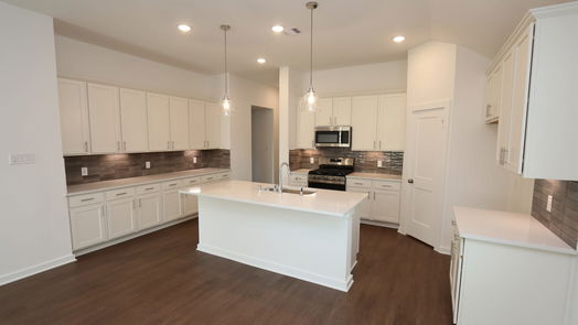 Alvin 1-story, 4-bed 2482 Paint Creek Drive-idx