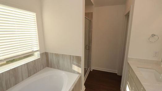 Alvin 1-story, 4-bed 2482 Paint Creek Drive-idx