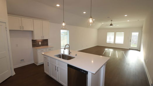 Alvin 1-story, 4-bed 2482 Paint Creek Drive-idx