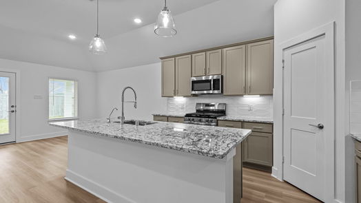 Alvin 1-story, 4-bed 2478 Paint Creek Drive-idx