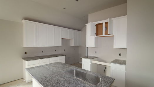 Magnolia 1-story, 3-bed 732 Larkspur Shadow Drive-idx