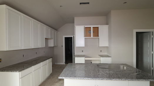 Magnolia 1-story, 3-bed 732 Larkspur Shadow Drive-idx