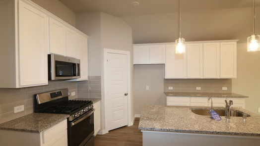 Magnolia 1-story, 4-bed 700 Larkspur Shadow Drive-idx