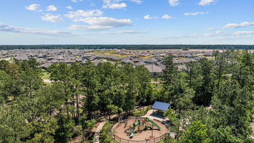 Magnolia 1-story, 4-bed 700 Larkspur Shadow Drive-idx