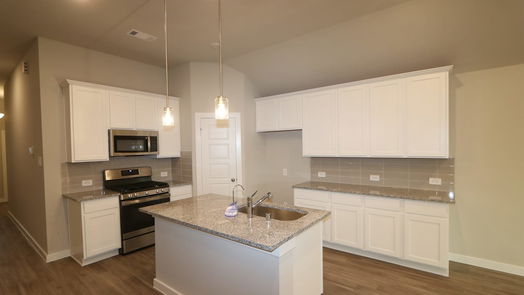 Magnolia 1-story, 4-bed 700 Larkspur Shadow Drive-idx