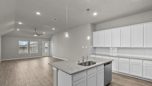 Magnolia null-story, 4-bed 229 Augustine Way-idx