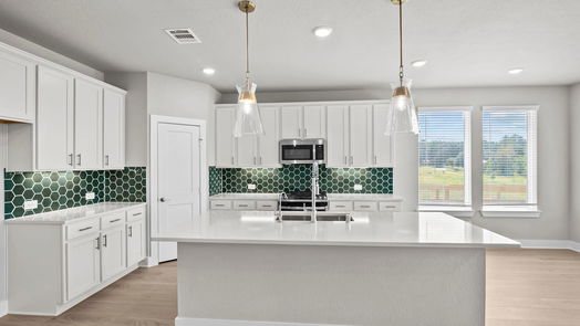 Montgomery 2-story, 4-bed 16525 Gaines Glen Lane-idx