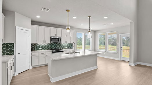 Montgomery 2-story, 4-bed 16525 Gaines Glen Lane-idx