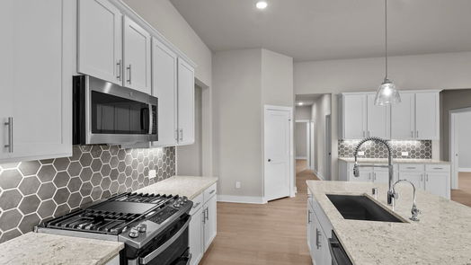 Montgomery 1-story, 3-bed 16524 Gaines Glen Lane-idx