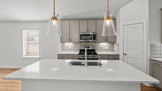 Montgomery 1-story, 4-bed 16125 Coffee Creek Court-idx