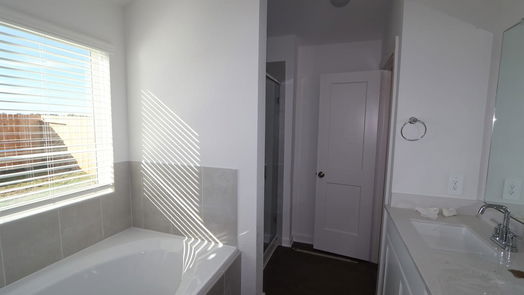 Montgomery 1-story, 4-bed 10048 Lone Star Landing Boulevard-idx