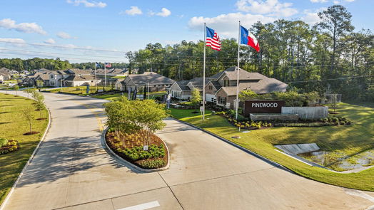 New Caney 2-story, 4-bed 22310 Curly Maple Drive-idx