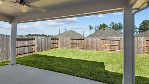 New Caney null-story, 4-bed 22361 Mountain Pine Drive-idx