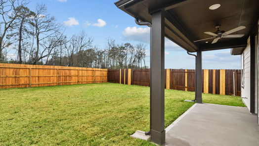 New Caney 1-story, 3-bed 22314 Mountain Pine Drive-idx