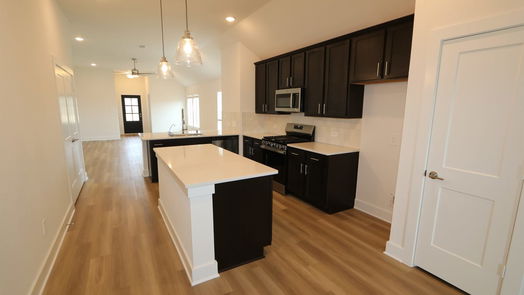 New Caney 1-story, 3-bed 22382 Curly Maple Drive-idx