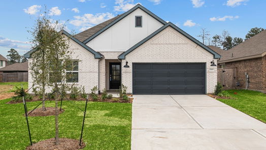 New Caney 1-story, 4-bed 17415 White Ash Court-idx
