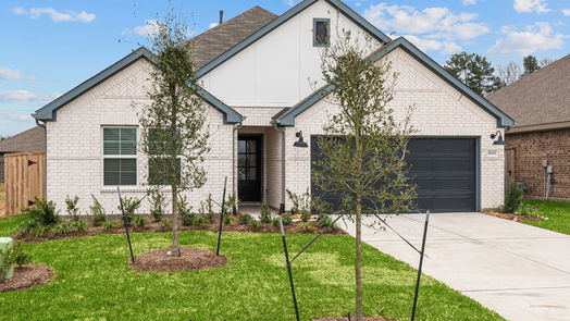 New Caney 1-story, 4-bed 17415 White Ash Court-idx