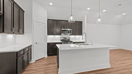New Caney 1-story, 4-bed 17415 White Ash Court-idx