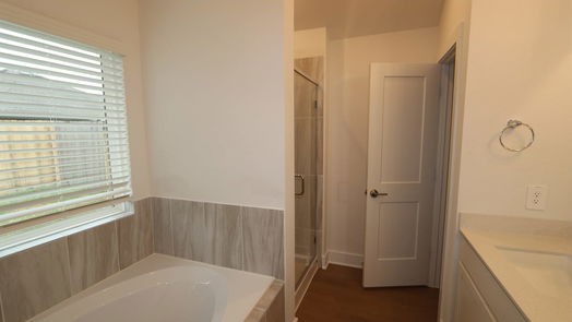 New Caney null-story, 4-bed 17427 White Ash Court-idx