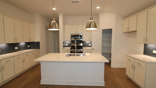 New Caney null-story, 4-bed 17427 White Ash Court-idx