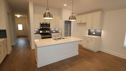 New Caney null-story, 4-bed 17427 White Ash Court-idx
