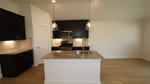 New Caney 1-story, 3-bed 17334 Silver Birch Court-idx