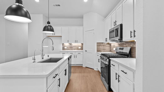 New Caney 1-story, 4-bed 17323 Silver Birch Court-idx