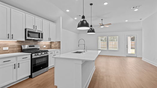 New Caney 1-story, 4-bed 17323 Silver Birch Court-idx