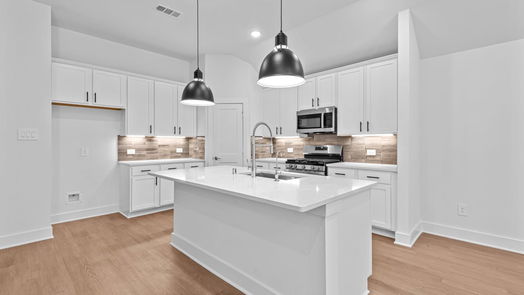 New Caney 1-story, 4-bed 17323 Silver Birch Court-idx