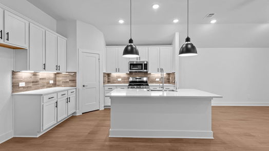 New Caney 1-story, 4-bed 17323 Silver Birch Court-idx
